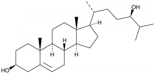 24(R)-hydroxy Cholesterol
