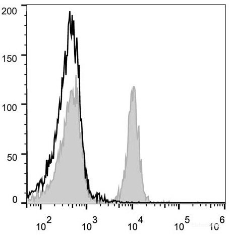 Anti-Mouse CD40 (PE Conjugated)[FGK4.5/FGK45], clone FGK4.5/FGK45