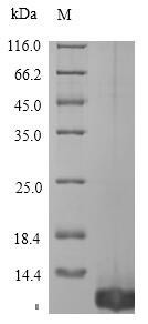 Tick anticoagulant peptide, Ornithodoros moubata, recombinant