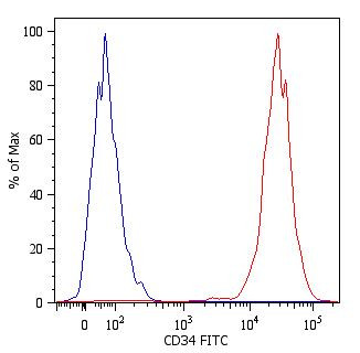 Anti-CD34, clone 4H11 [APG] (FITC)