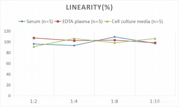 Human NT-4 (Neurotrophin 4) CLIA Kit