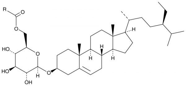 Esterified Steryl Glucosides