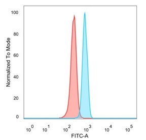 Anti-MZF1 / Myeloid zinc finger 1, clone PCRP-MZF1-1E8