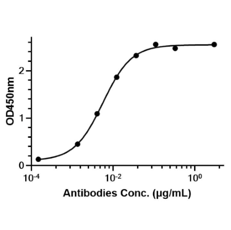 Anti-HER2 Antibody (Disitamab)