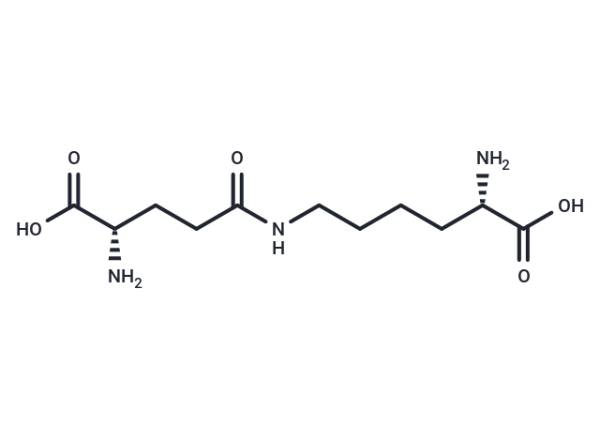 Epsilon-(gamma-glutamyl)-lysine