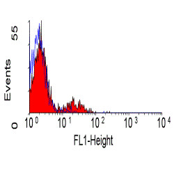 Anti-CD39 (FITC), clone A1