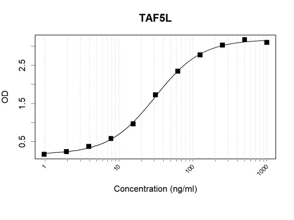 Anti-Human TAF5L Antibody Pair
