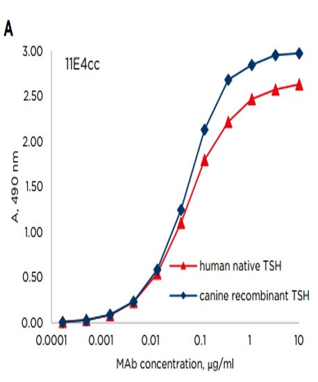 Anti-Thyroid Stimulating Hormone (TSH), clone 11E4cc