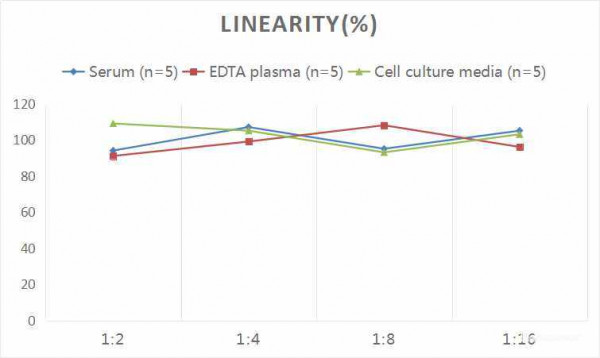 Rat cTn-I/TNNI3 (Cardiac Troponin I) CLIA Kit