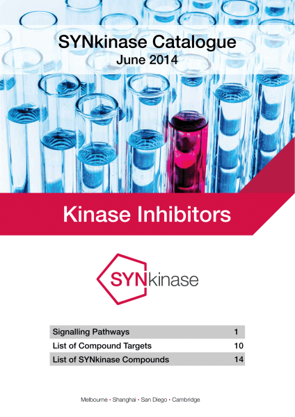 Kinase Inhibitors