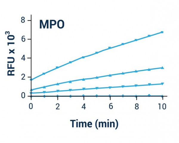 MPO Activity Assay Kit