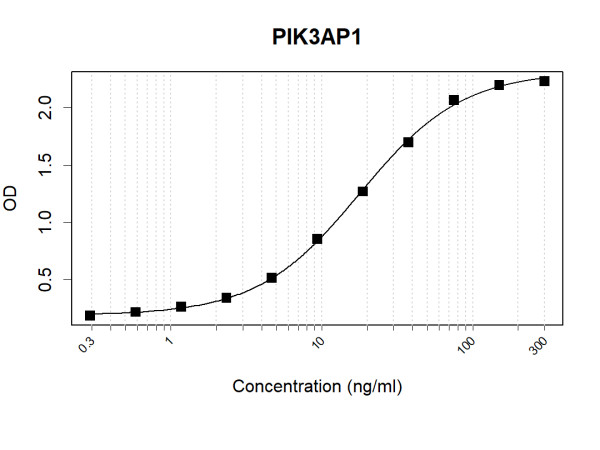 PIK3AP1 (human) Antibody Pair