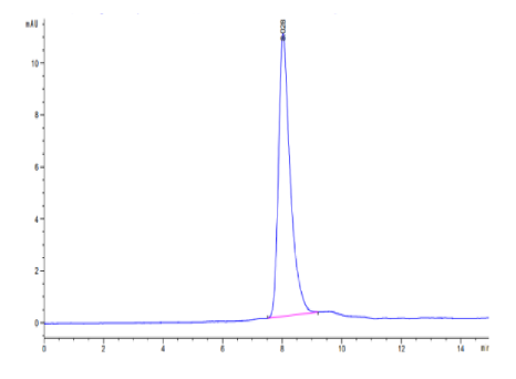 DLK1, His, Cynomolgus