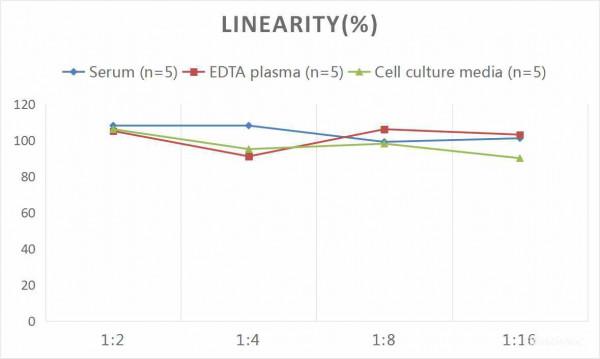 Human VF (Visfatin) CLIA Kit