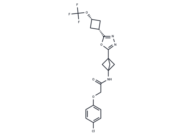 DNL343