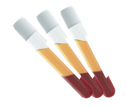 Fresh human plasma from whole human blood in K2EDTA - female donor - ambient overnight delivery