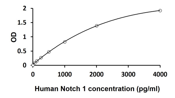 Human Notch 1 ELISA Kit