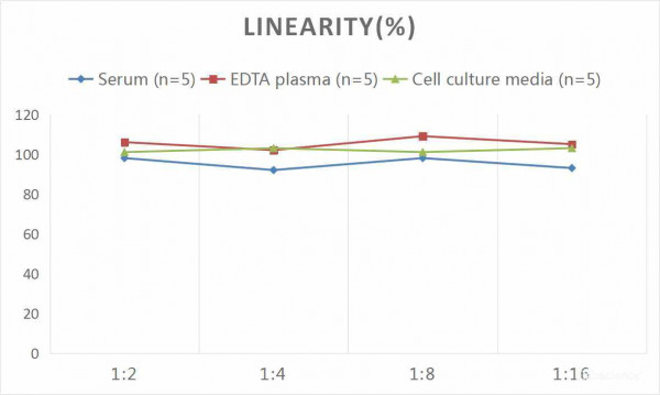 Human NSE (Neuron-Specific Enolase) CLIA Kit