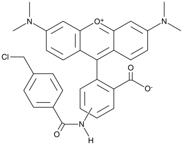 CytoTrace(TM) Orange CMTMR