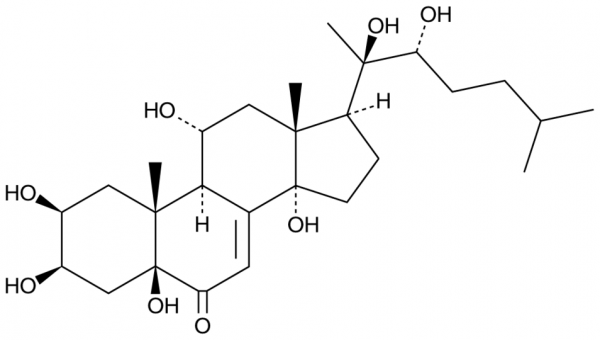 Muristerone A