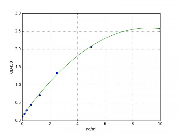 Human DUSP1 / Dual specificity protein phosphatase 1 ELISA Kit