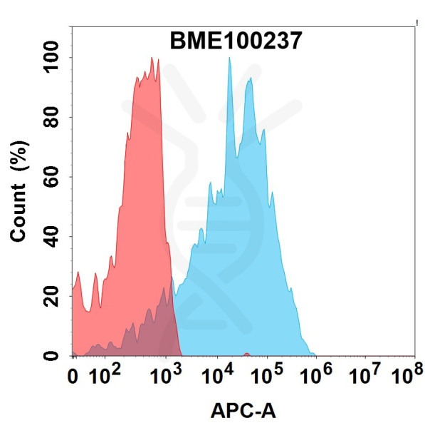 Anti-LILRB4 (MK-0482 biosimilar) mAb