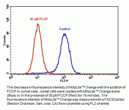Cell Meter(TM) Mitochondrial Membrane Potential Assay Kit *Orange Fluorescence Optimized for Flow Cy