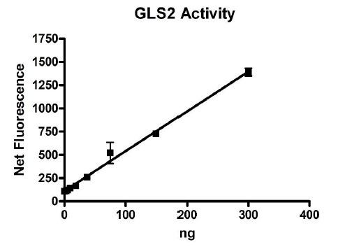 GLS2 Inhibitor Screening Assay Kit