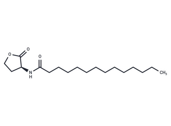 N-tetradecanoyl-L-Homoserine lactone