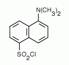 Dansyl chloride (5-Dimethylaminonaphthalene-1-sulfonyl chloride)