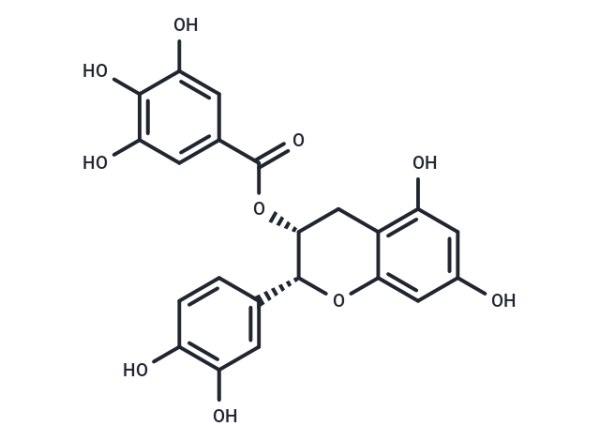 (-)-Epicatechin gallate
