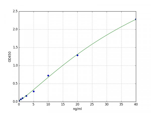 Human CMIC-1 / Cardiac Myosin Light Chains 1 ELISA Kit
