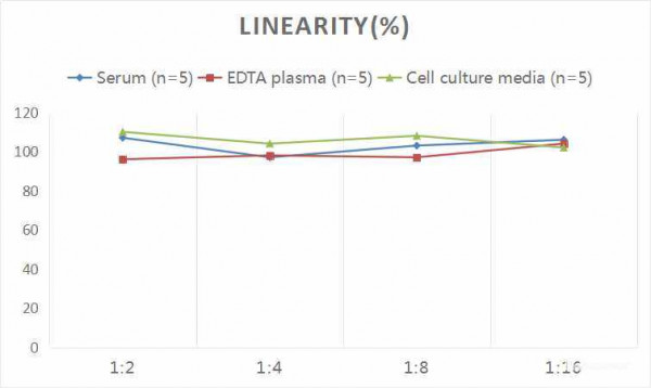Rat F2 (Coagulation Factor II)CLIA Kit