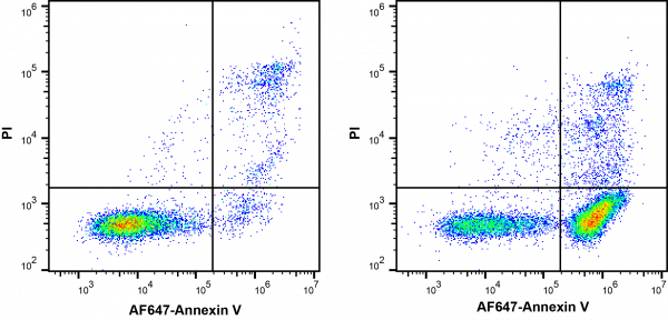 Annexin V-AF647/PI Apoptosis Kit