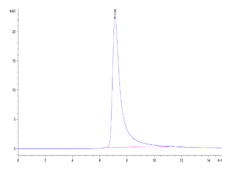 ENPP-2/Autotaxin, His, Mouse