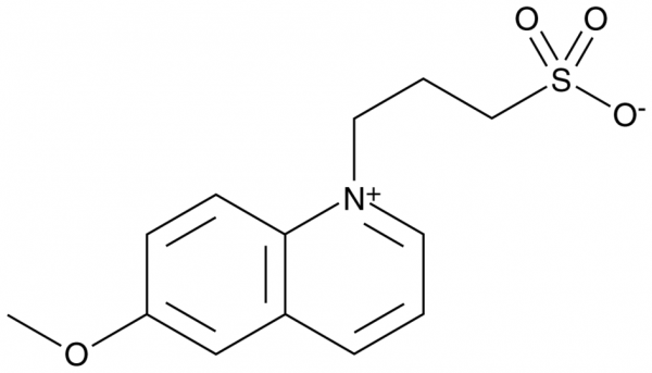 SPQ
