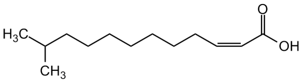 cis-11-Methyl-2-dodecenoic acid