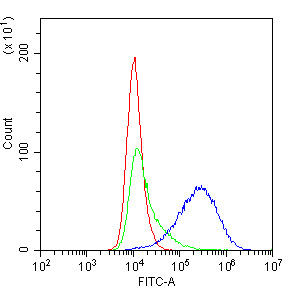Anti-CD81