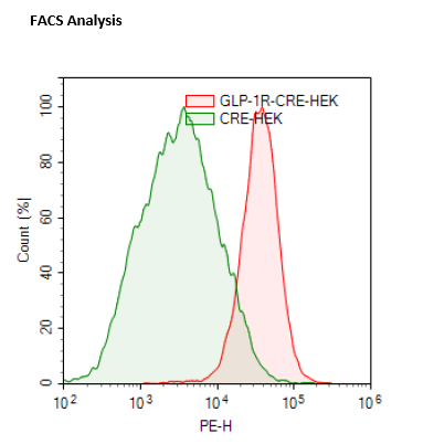 GLP-1R/CRE (Luc) Reporter - HEK293 Recombinant Cell Line
