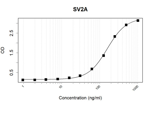 Anti-Human SV2A Antibody Pair