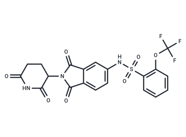 SJ6986