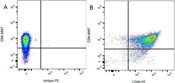 Anti-CD90 / Thy1.1 (RPE), clone OX-7