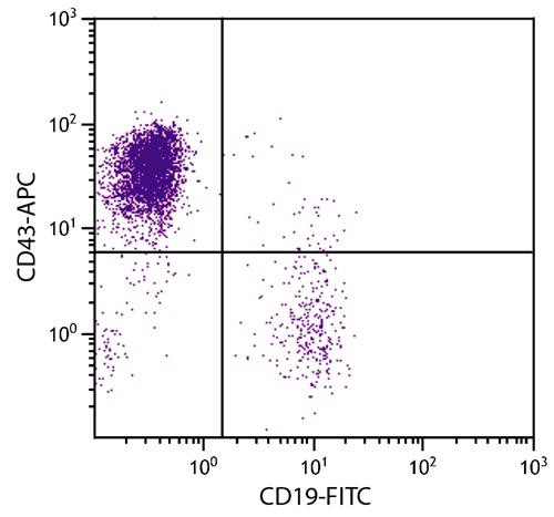 Anti-CD43 (APC), clone DF-T1