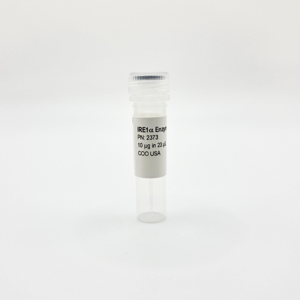 Recombinant IRE1a, Active, Human