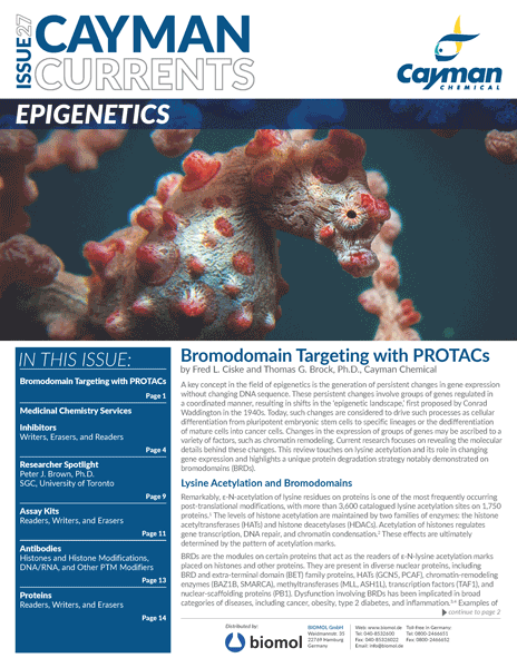 Cayman Currents: Epigenetics