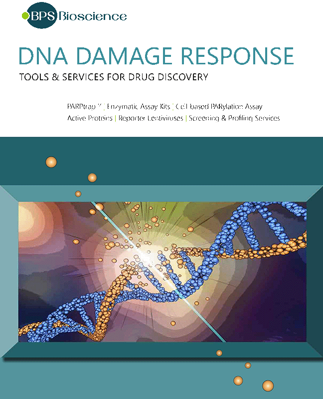 BPS Bioscience DNA Damage Response