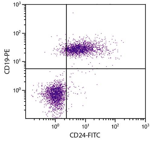 Anti-CD24 (FITC), clone 30-F1