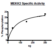 MEKK2, active human recombinant protein