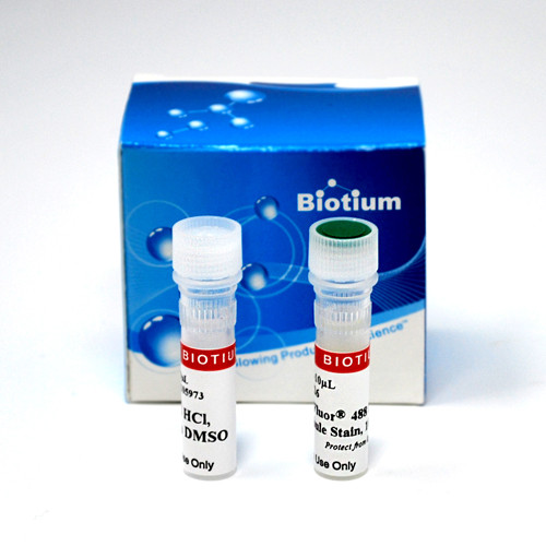 ViaFluor(R) 405 Live Cell Microtubule Stain