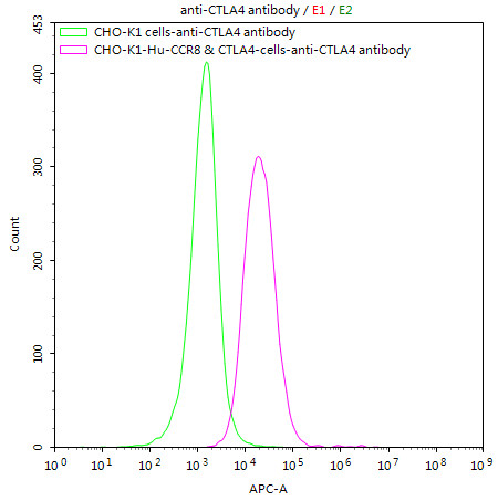 CHOK1/Human CCR8 &amp; CTLA4 Stable Cell Line